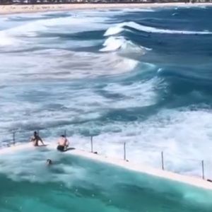 Meet your Posher, Soomin